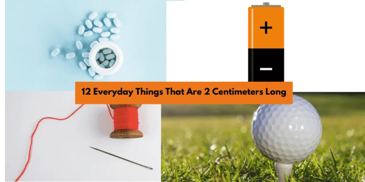 12 Everyday Things That Are 2 Centimeters Long