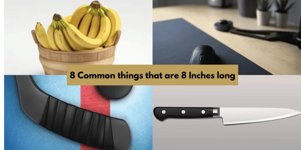 8 Common things that are 8 Inches long