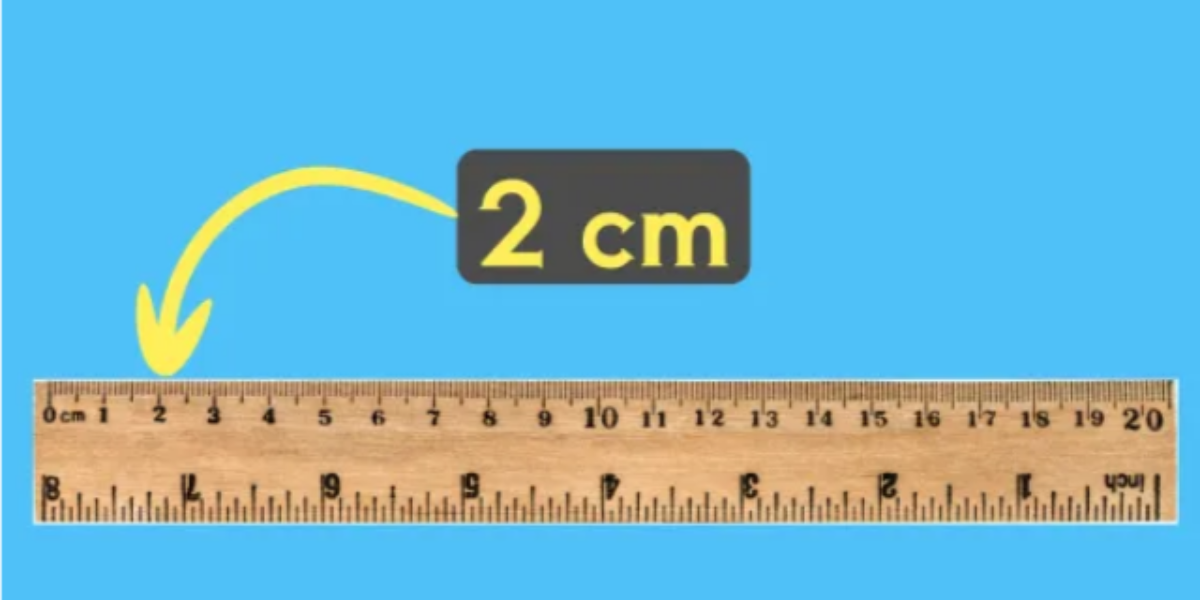 11 Common Objects That Measure 2 Centimeters