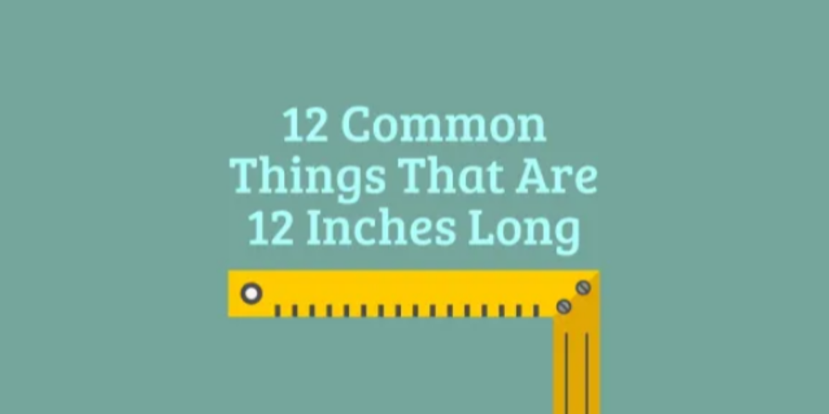 12 Common Things That Are 12 Inches Long