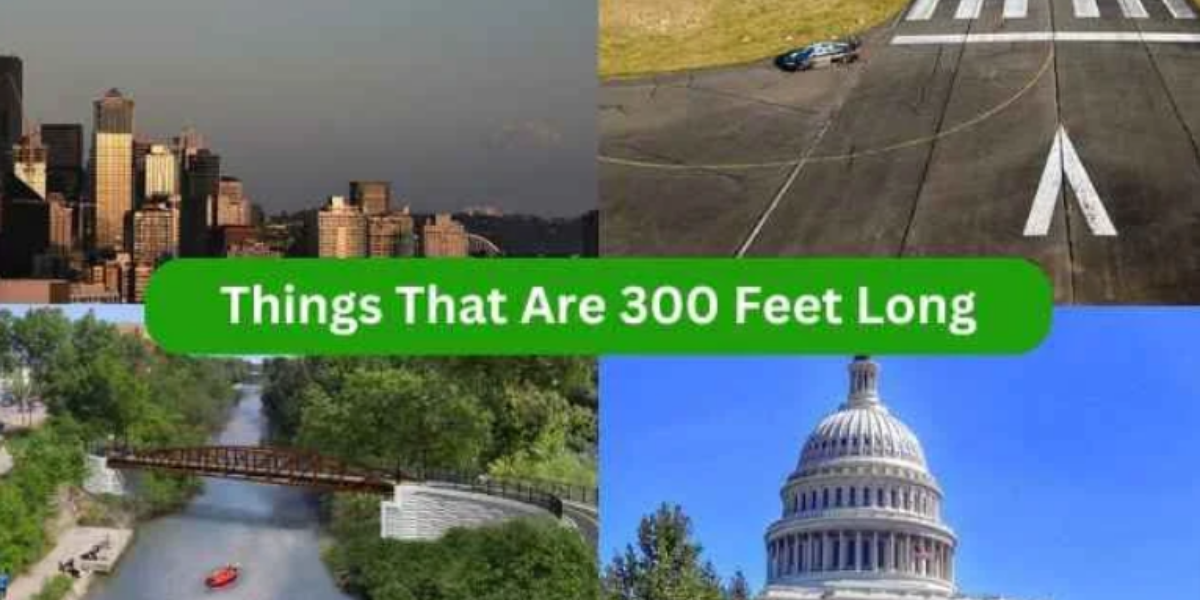 12 Things That Are 300 Feet Long or Big