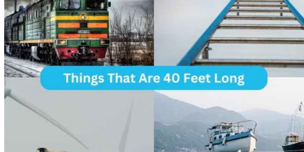 12 Things That Are 40 Feet Long or Big