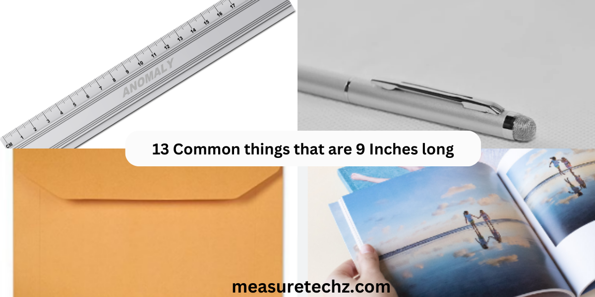 13 Common things that are 9 Inches long