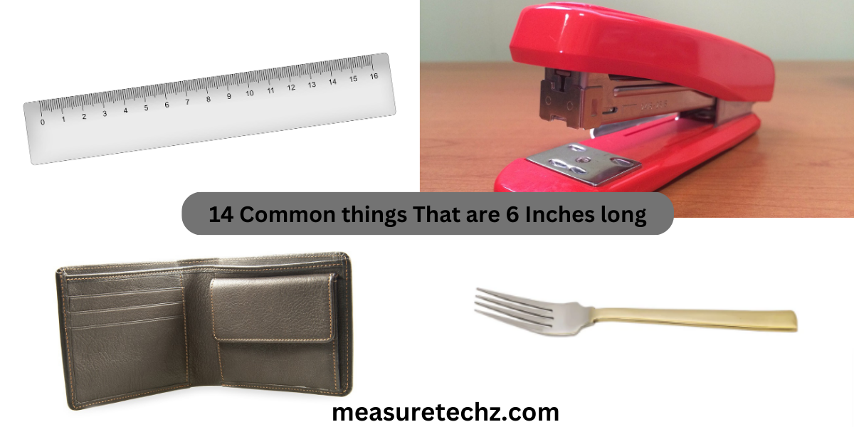 14 Common things That are 6 Inches long