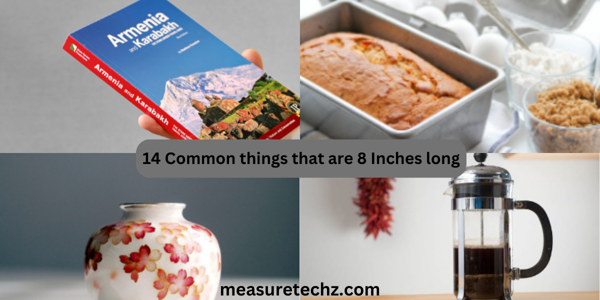 14 Common things that are 8 Inches long