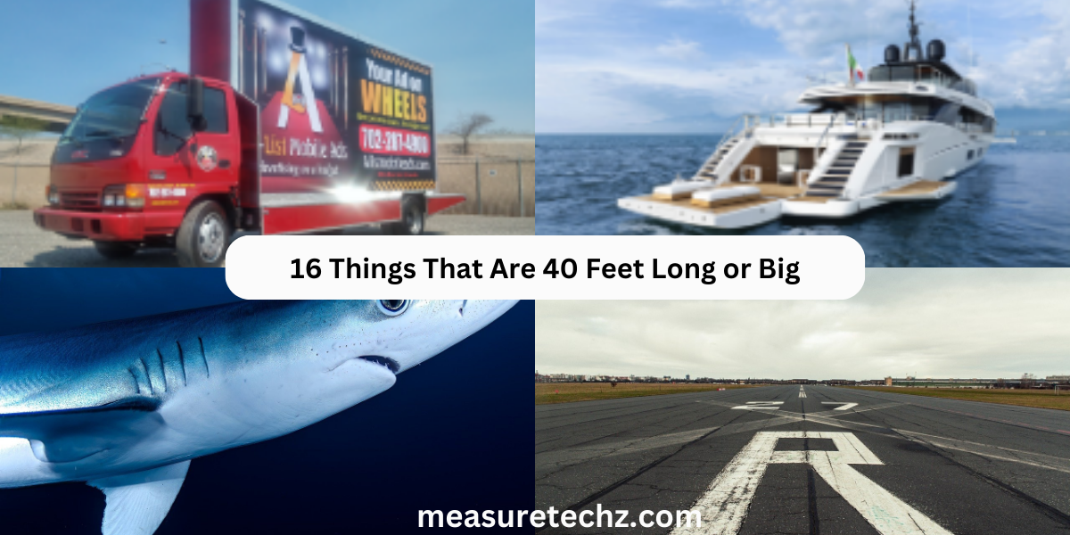 16 Things That Are 40 Feet Long or Big