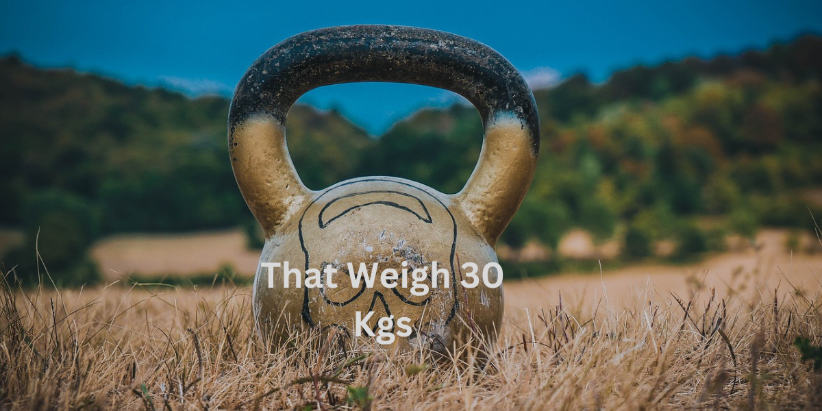 18 Common Things That Weigh 30 Kgs