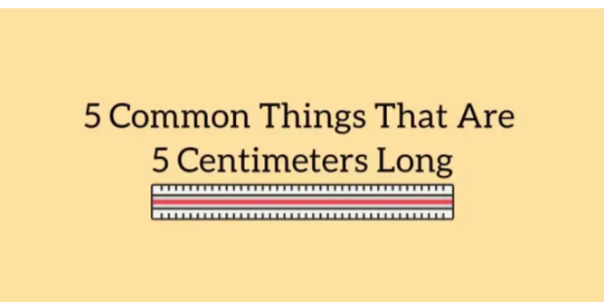 5 Common Things That Are 5 Centimeters Long