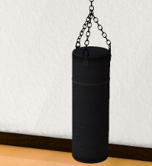 Punching Bag