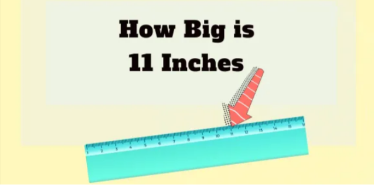 How Big Is 11 Inches