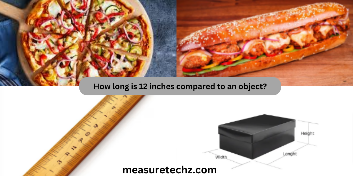 How long is 12 inches compared to an object?