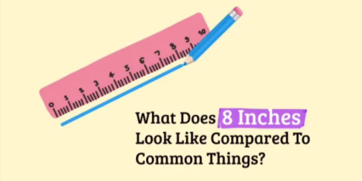 What Does 8 Inches Look Like Compared To Common Things?