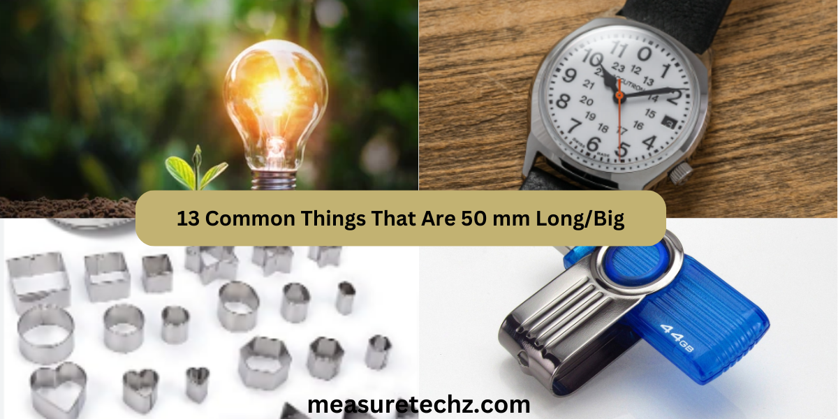 13 Common Things That Are 50 mm Long/Big