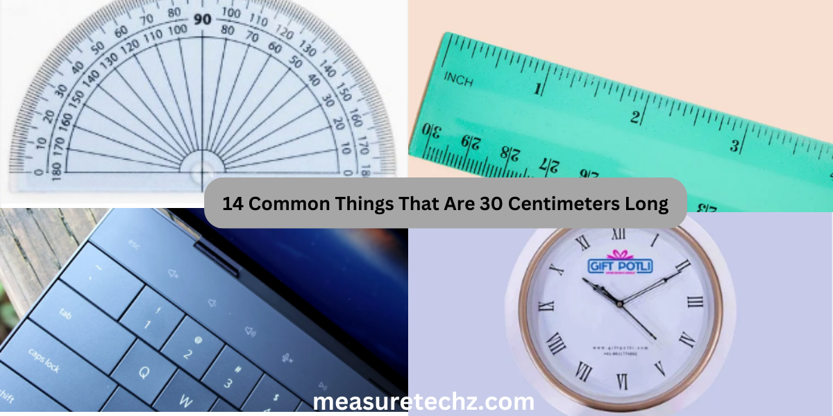 14 Common Things That Are 30 Centimeters Long