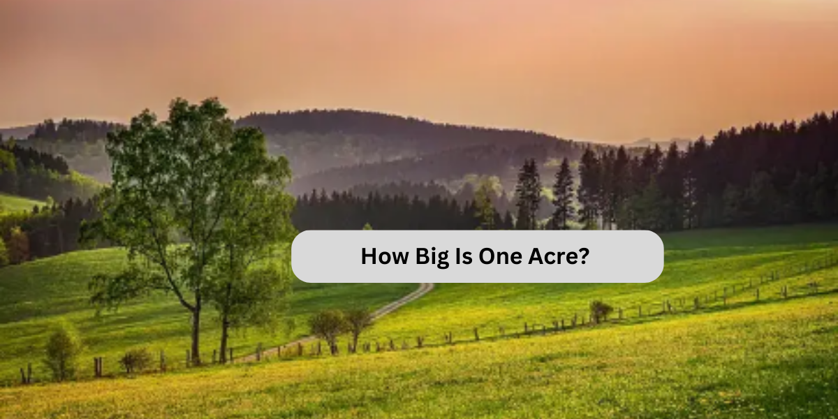 How Big Is One Acre? Understanding This Common Measurement