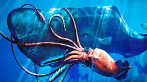That Are 9 Meters Long