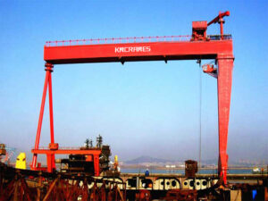 That Are 300 Feet Long or Big