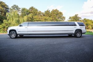 That Are 16 Feet Long