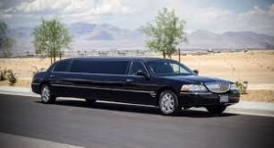 That Are 17 Feet Long