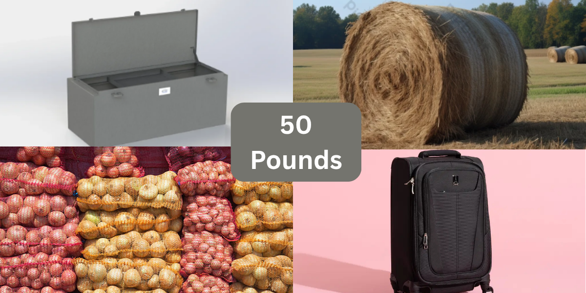 11 Everyday Things That Weigh 50 Pounds