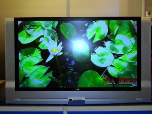  That are 52 Inches Long