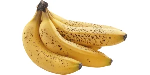  That Are 16 Inches Long