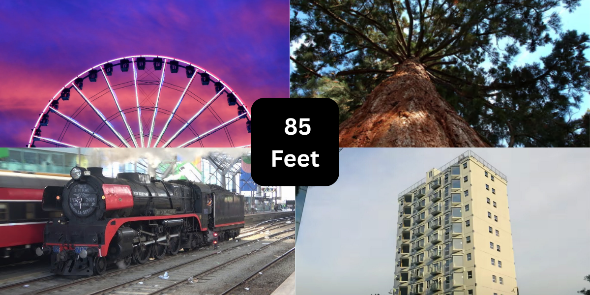 10 Things That Are About 85 Feet Long