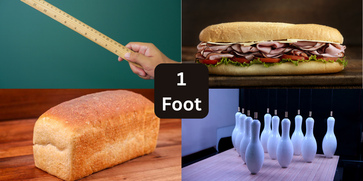 11 Common Things That Are 1 Foot Long