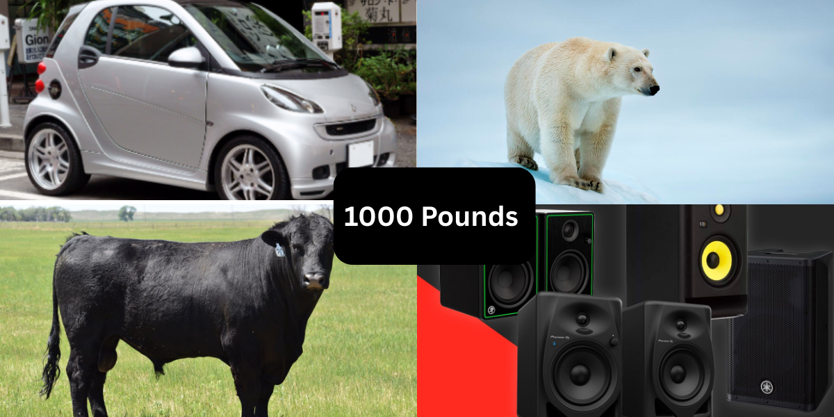 11 Common Things That Weigh About 1000 Pounds