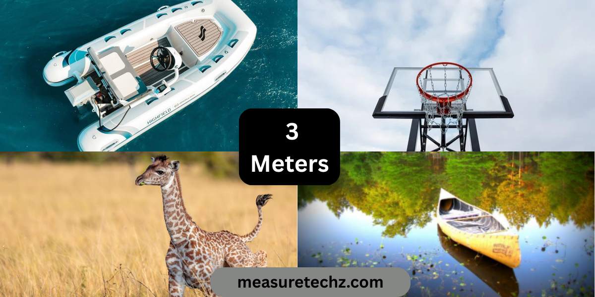 12 Things That Are About 3 Meters (m) Long