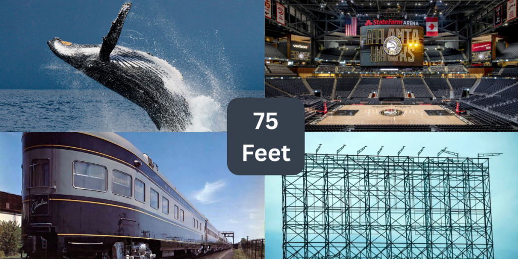 12-things-that-are-about-75-feet-ft-long