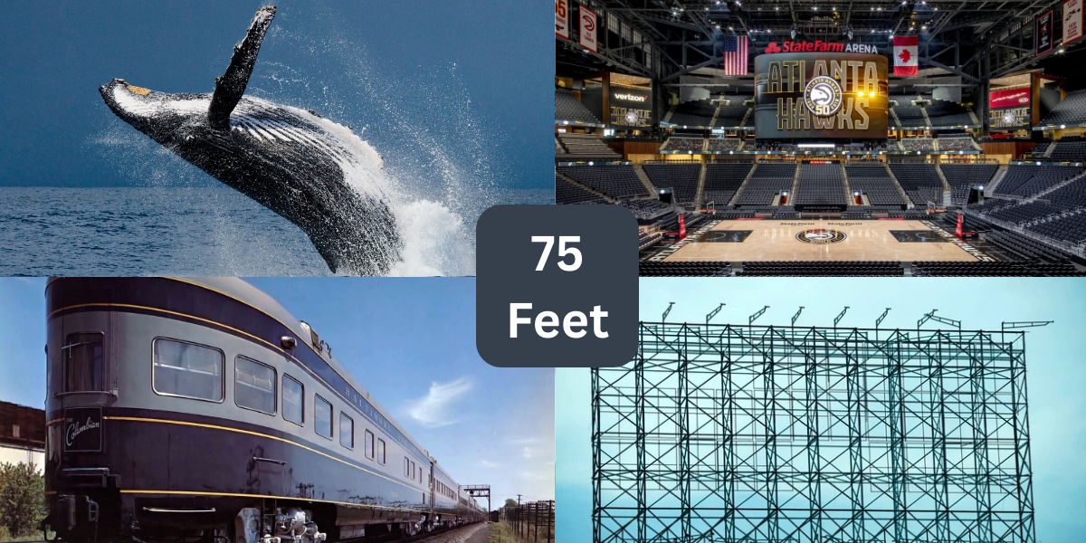 12 Things That Are About 75 Feet (ft) Long