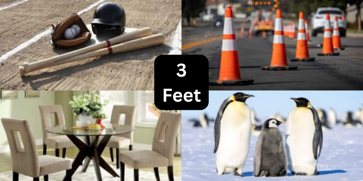 13 Everyday Items That Are 3 Feet Long