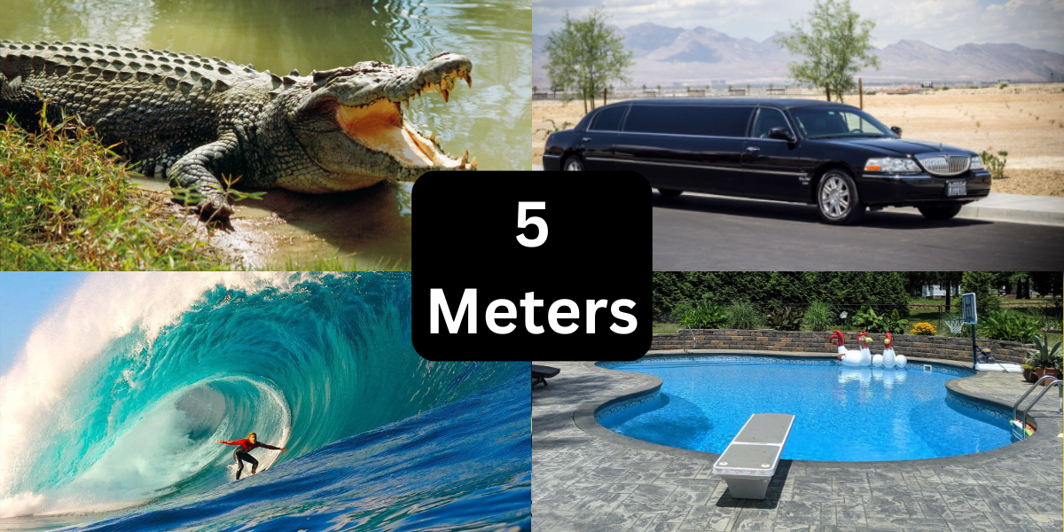 16 Things That Are About 5 Meters (m) Long