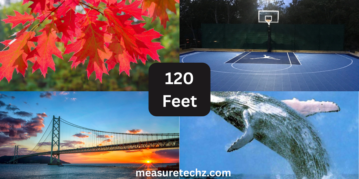 6 Things That Are About 120 Feet (ft) Long