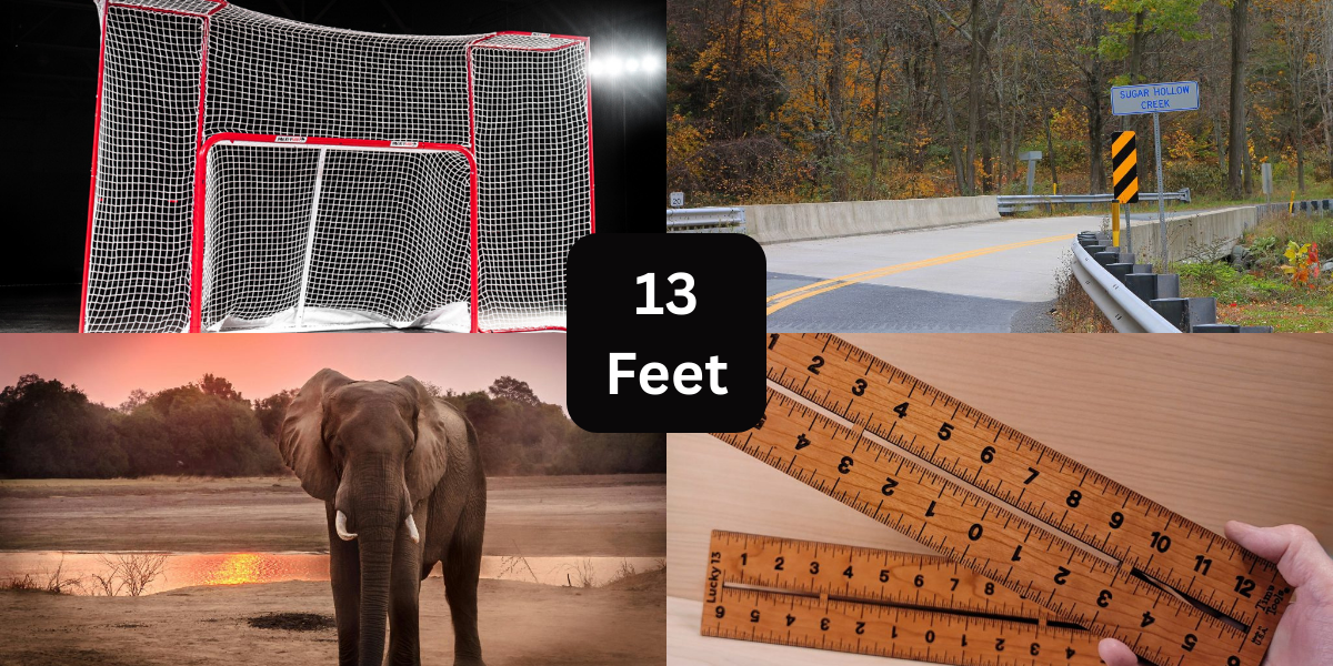 6 Things That Are About 13 Feet (ft) Long