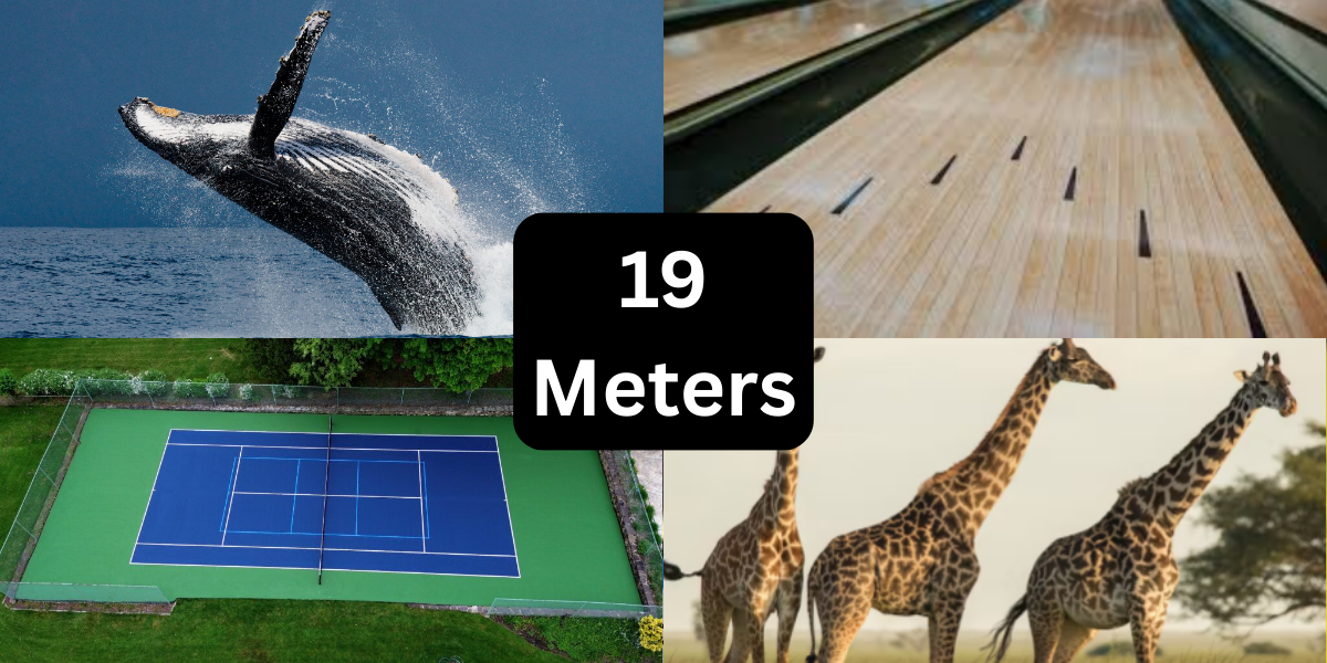 7 Things That Are About 19 Meters (m) Long