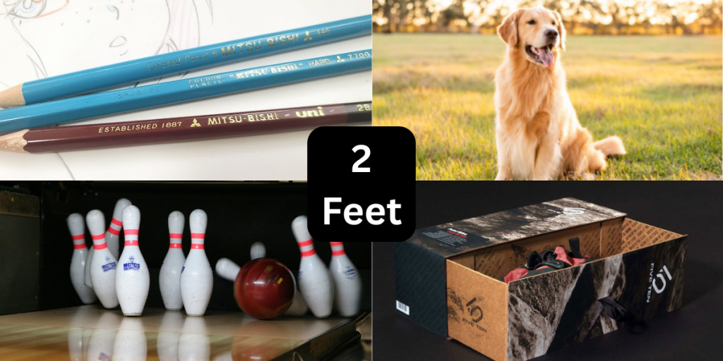 7 Things That Are About 2 Feet Ft Long