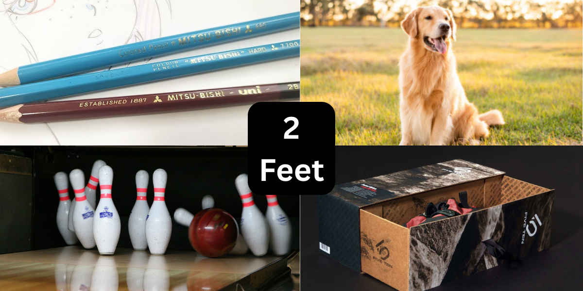 7 Things That Are About 2 Feet (ft) Long