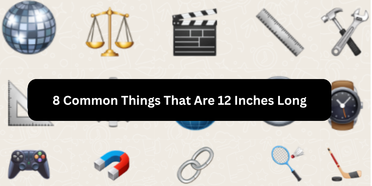 8 Common Things That Are 12 Inches Long