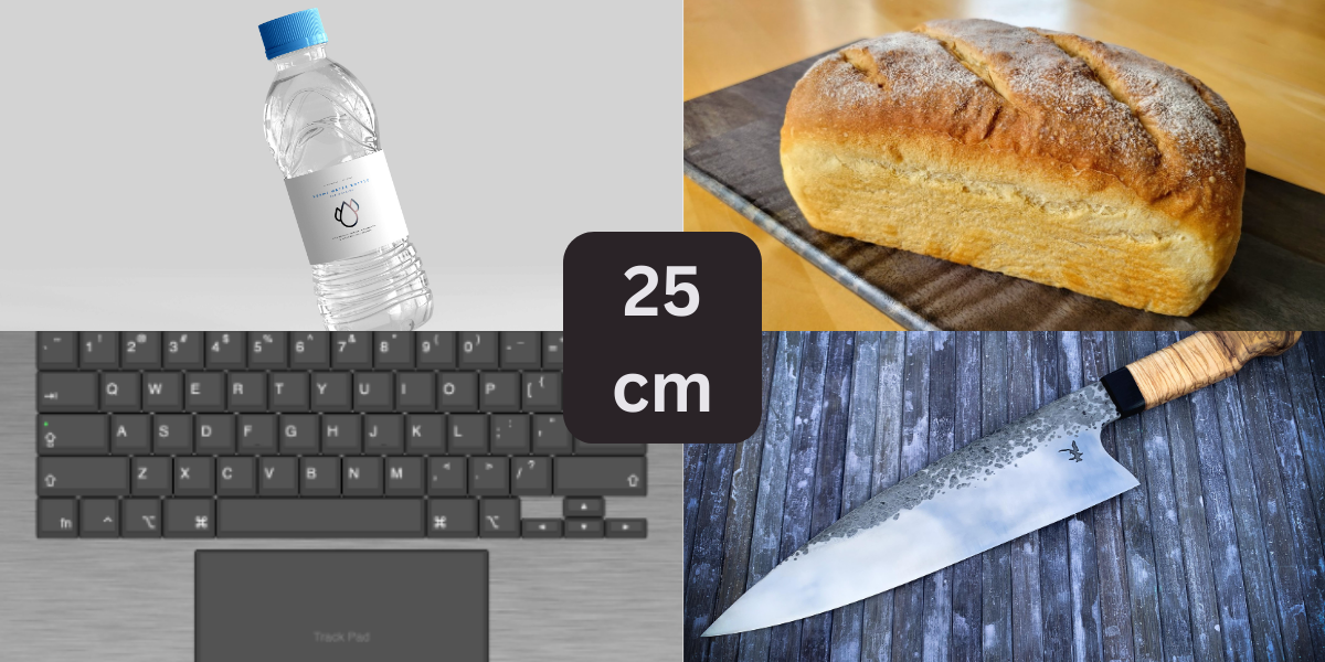 8 Everyday Things That Are About 25 Centimeters (cm) Long
