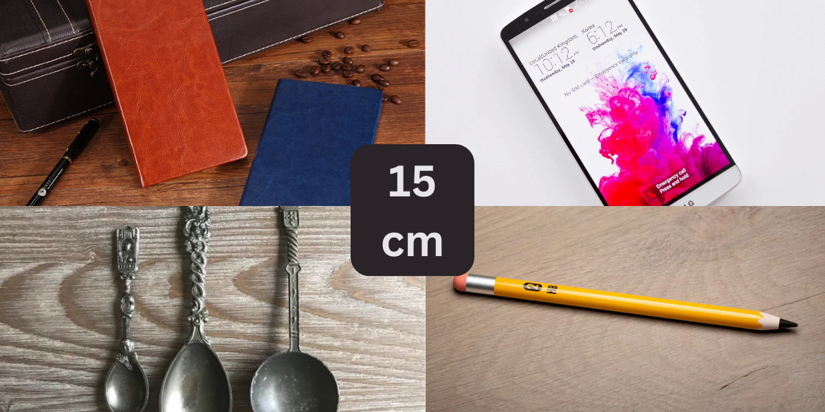 8 Things That Are About 15 Centimeters (cm) Long