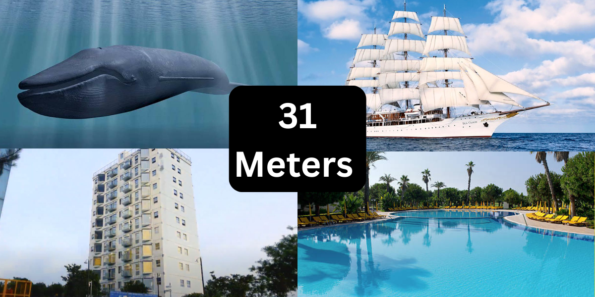 8 Things That Are About 31 Meters (m) Long