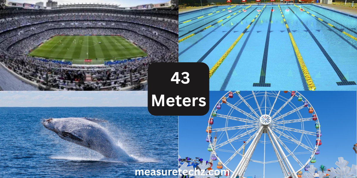 8 Things That Are About 43 Meters (m) Long