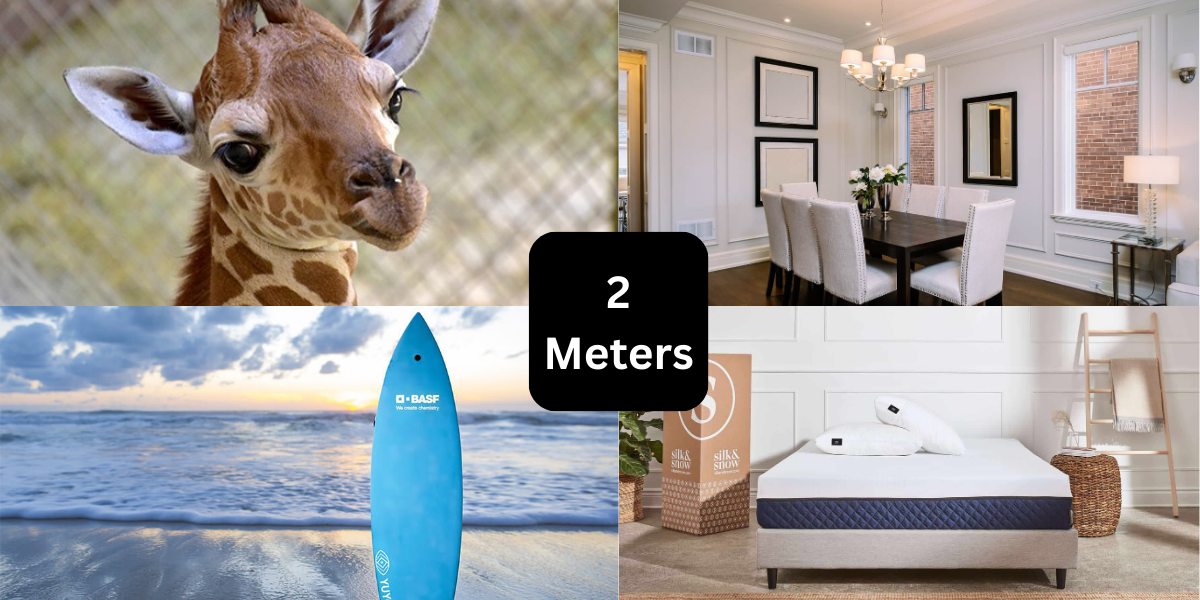 9 Things That Are About 2 Meters (m) Long