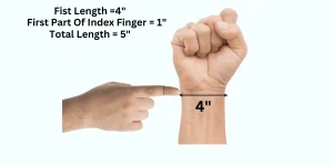 That Are 5 Inches Long