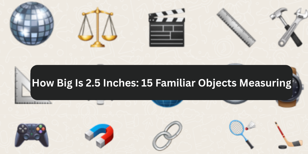 How Big Is 2.5 Inches: 15 Familiar Objects Measuring