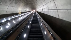 That Are About 25 Feet (ft) Long