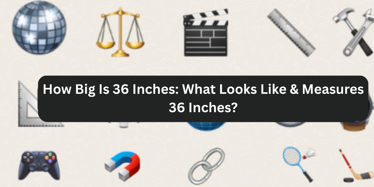 How Big Is 36 Inches: What Looks Like & Measures 36 Inches?